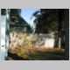 backyard2.jpg