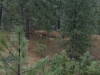 03-25-06 007.jpg