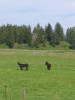 otmJune07 004.jpg
